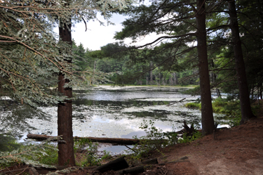 Lunden Pond