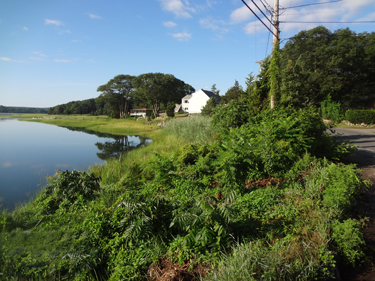 View from side yard of the two RV Gypsies