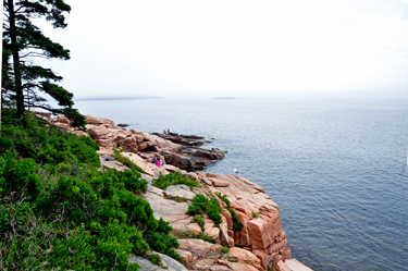 scenery at Acadia National Park