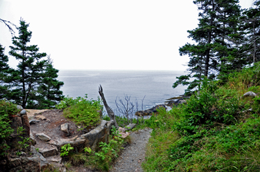 scenery at Acadia National Park