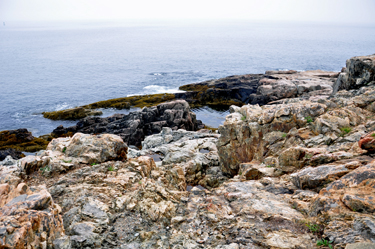 scenery at Acadia National Park