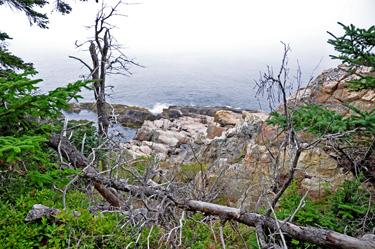 scenery at Acadia National Park