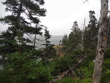 scenery at Acadia National Park