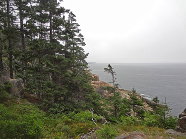 scenery at Acadia National Park