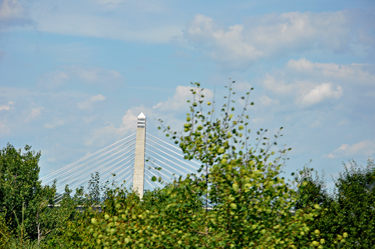 the top of the Penobscot Narrows Bridge