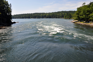 the rapids at Blue Hill Falls