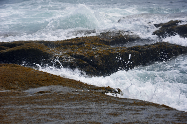 the pounding surf.