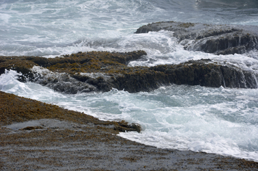 the pounding surf.