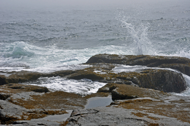 the pounding surf.