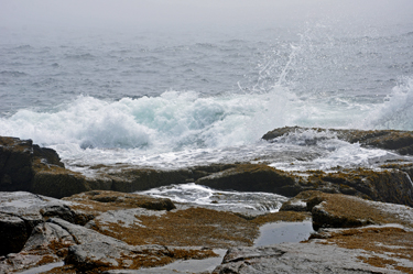 the pounding surf.