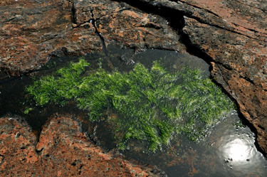 patterns in the rocks 