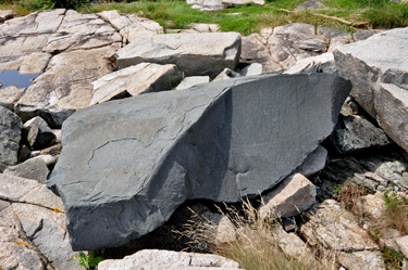 the two RV Gypsies loved this rock