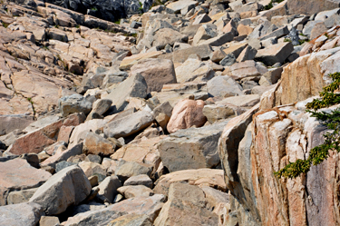 the pinkish rock looks like a turkey waiting to be cooked
