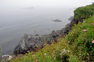 Looking down the cliff by the lighthouse at the cliffs, water, and rocks