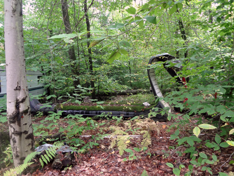 a giant snake at a campsite 