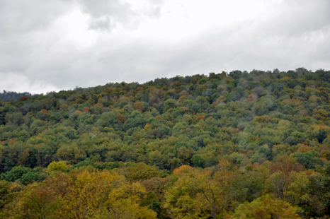 The beginning of fall colors in Pennsylvania