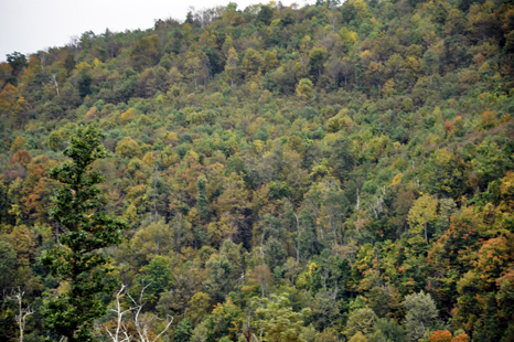 The beginning of fall colors in Pennsylvania