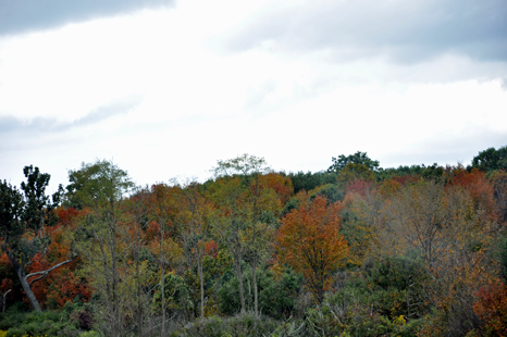 The beginning of fall colors in Pennsylvania