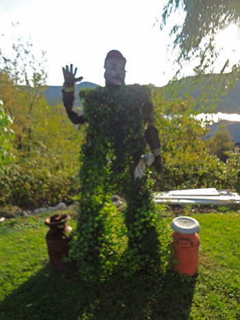 a "vine man"