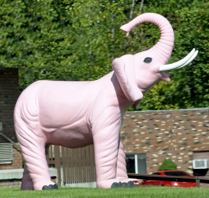 Pink elephant