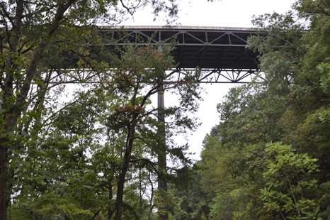 the New River Gorge Bridge and the catwalk