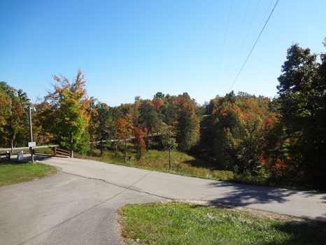 A bit of fall colors