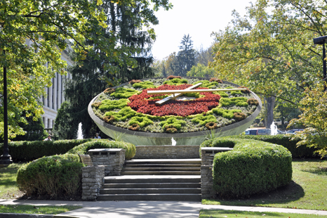 A Flower Clock 