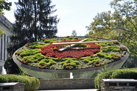 A Flower Clock 