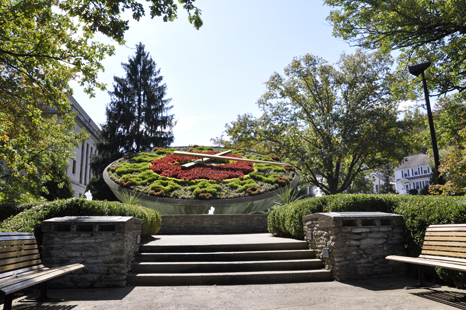 A Flower Clock 