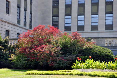 A bit of fall colors