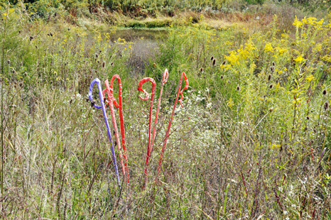  the Sway sculptures throughout the garden