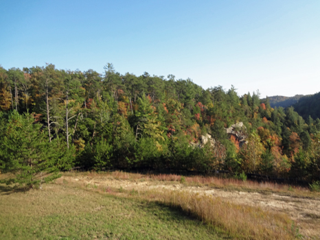 a bit of fall color at the end of the zipline