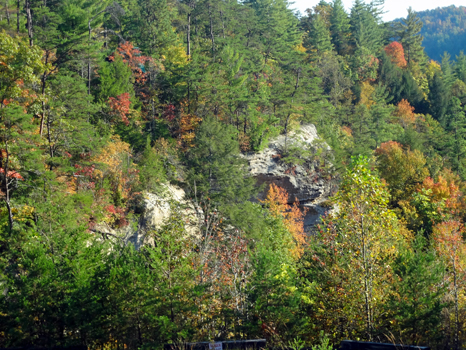 a bit of fall color at the end of the zipline