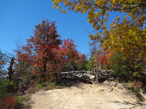 the beginning of the Natural Bridge