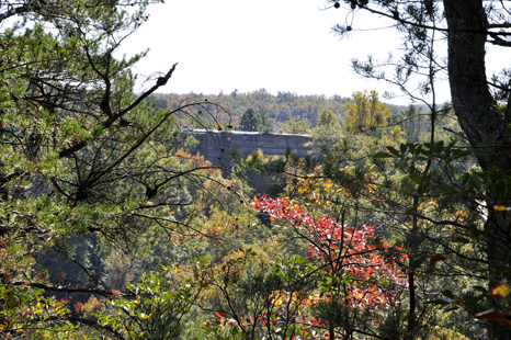 the Natural Bridge