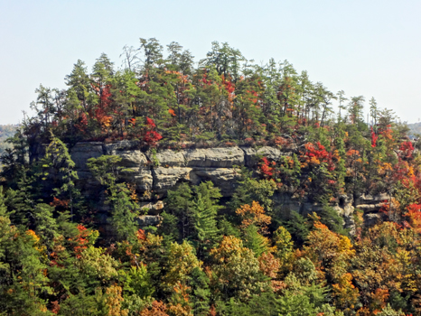 zoomed in on the fall colors