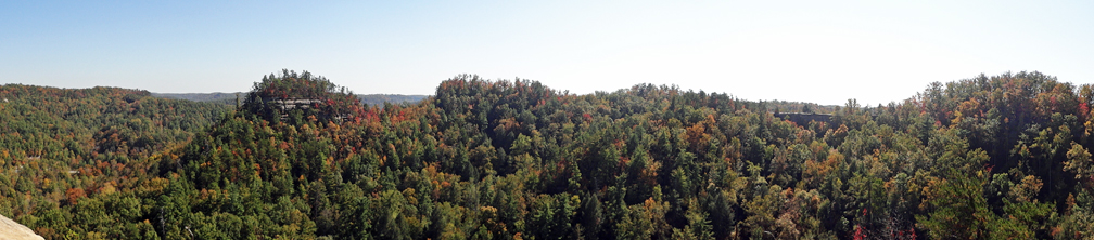 panorama of the fall colors