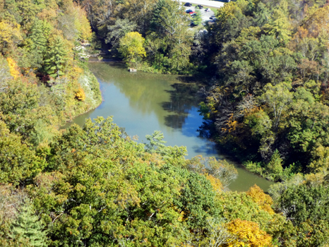 a pond