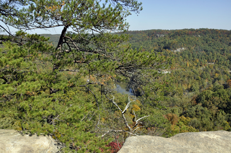 view from Overlook Point