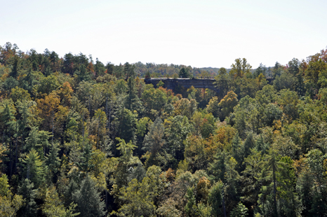 A glimpse of the top of the Natural Bridge