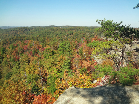 fall colors