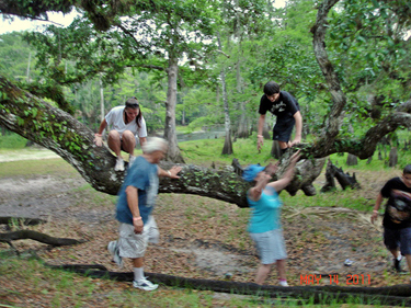 the two RV Gypsies and family climb on a tree branch