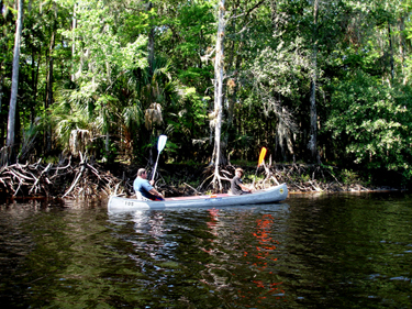 is this a canoe or a sailboat?