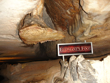 Elephant's Foot at Ruby Falls