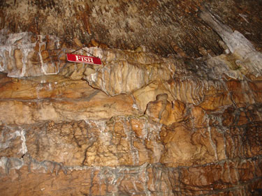 Fish formation at Ruby Falls