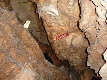 Bacon at Ruby Falls