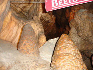 Beehives at Ruby Falls