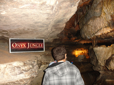 Onyx Jungle  at Ruby Falls