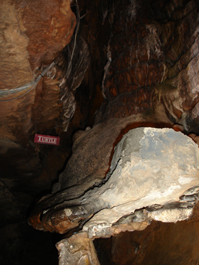 Turtle at Ruby Falls