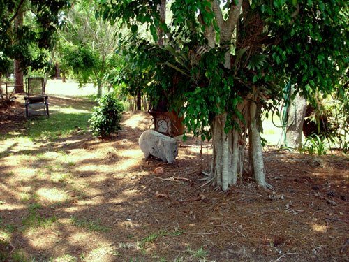 the new yard of the two RV Gypsies